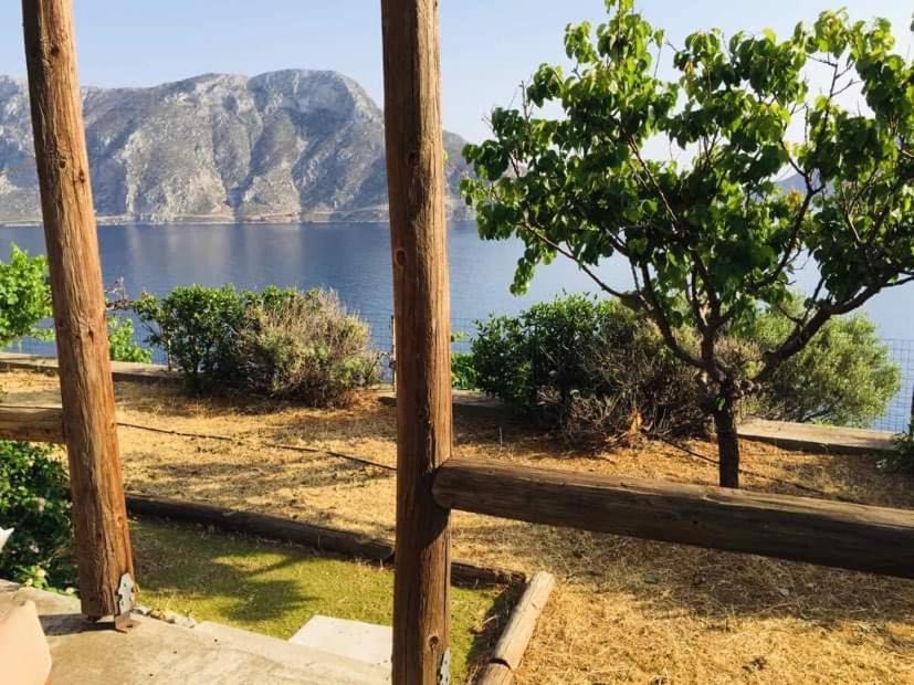 Niotis Studios Skalia Luaran gambar